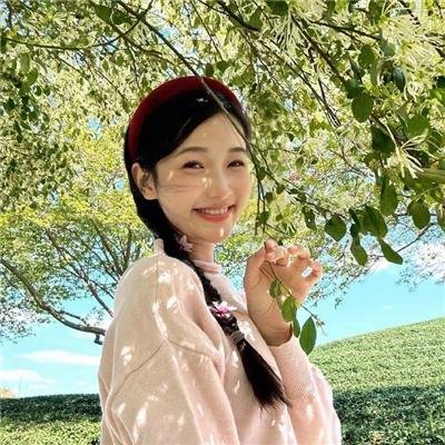 朵儿的战争